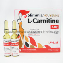 2g / 5ml Body Slimming e L Injecção Carnitina para perda de peso